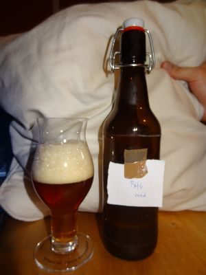 Blowing Hot Genius medium Hopped