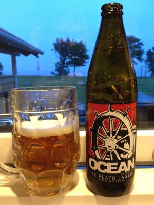 Ocean 12 Plato Lager