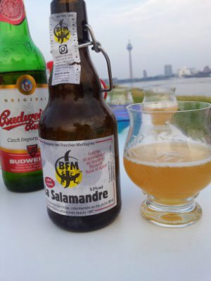 BFM La Salamandre