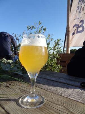 Lindeboom Spelt