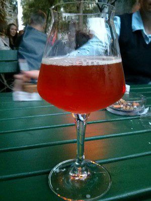 Dancing Camel Patriot An American Pale Ale