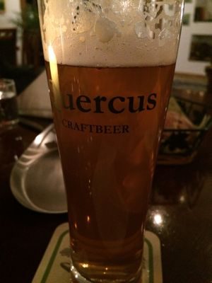 Quercus - Wiener Lager
