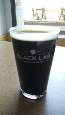 BlackLab Terraplane