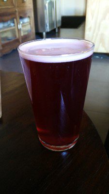 BlackLab Hibiscus Watermelon Wheat