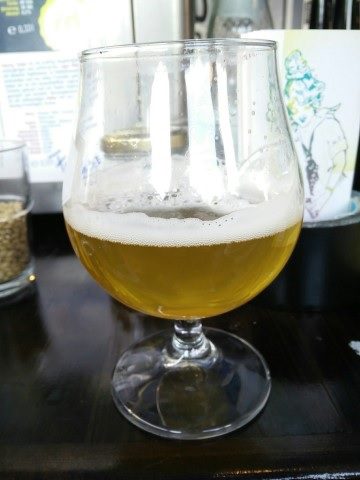 Malt & Hops Thirsty Tulips
