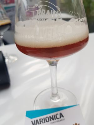 Varionica Rye IPA