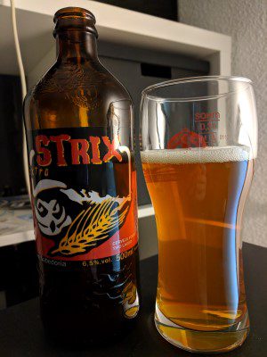 Coruja Strix Extra