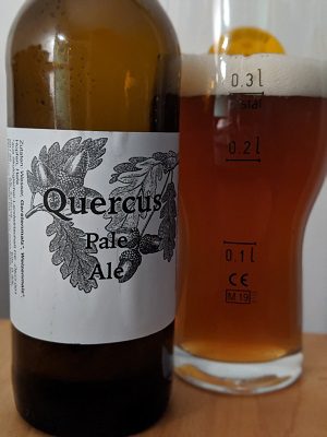 Quercus Pale Ale