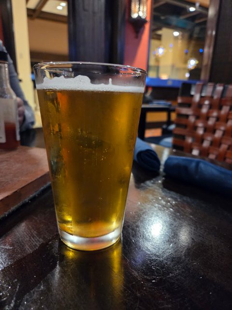 Alligator Drool Lager