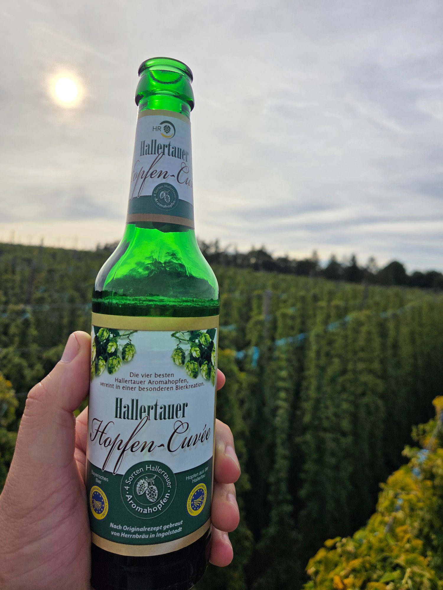 Hallertauer Hopfen-Cuvée