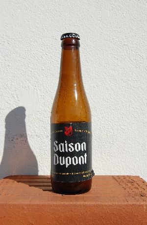 Saison Dupont, Verkostung vom 05.06.2011