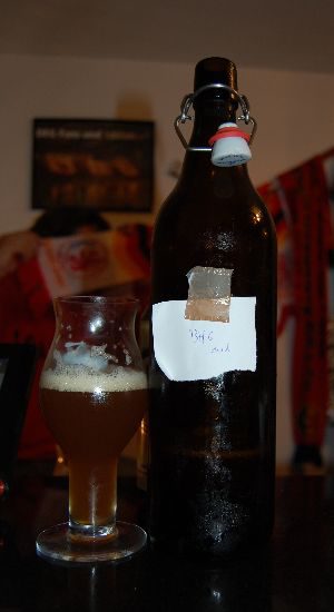 Blowing Hot Genius medium Hopped, Verkostung vom 02.11.2011