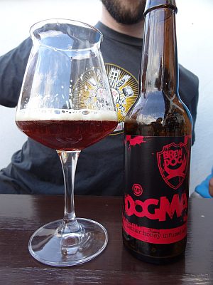 Dogma, Verkostung vom 06.07.2012
