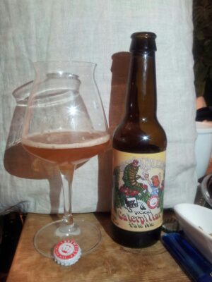 Brewfist Caterpillar Rye Pale Ale, Verkostung vom 08.05.2013