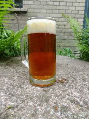 Wendlandbräu Festbier, Verkostung vom 19.05.2013