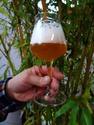 Brewfist Heimdall Saison, Verkostung vom 22.02.2014