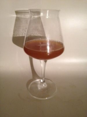 Amateur Amber Ale, Verkostung vom 23.04.2014