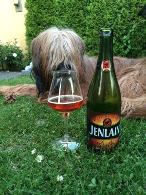 Duyck Jenlain Ambrée, Verkostung vom 01.07.2015