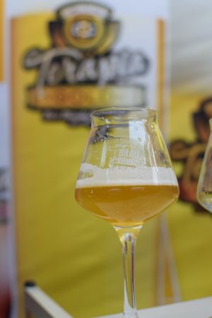 Terapia Gold Golden Ale, Verkostung vom 26.02.2016