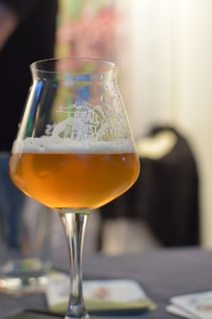 Bevog Shower Beer Double IPA, Verkostung vom 26.02.2016