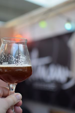 Tilmans Brown Ale, Verkostung vom 27.02.2016