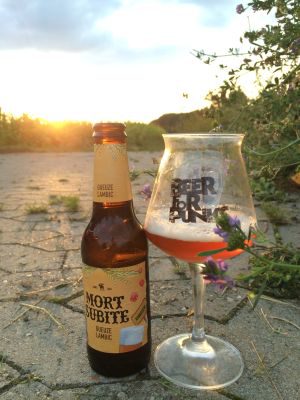Mort Subite Gueuze Lambic, Verkostung vom 05.08.2016