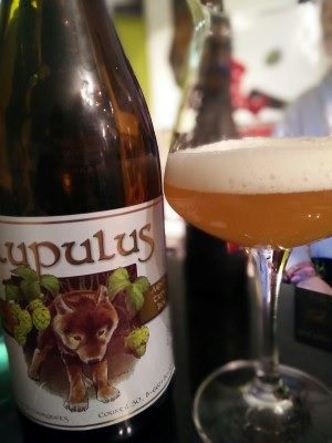 Lupulus Triple, Verkostung vom 25.01.2017