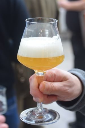 Hofbräu München Verführerisch Gehopfter Hallodri 2017, Verkostung vom 10.02.2017