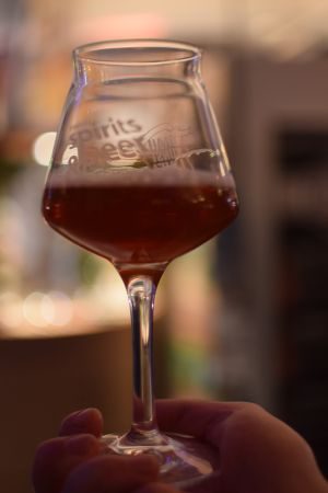 Welde Jahrgangsbier 2017 England, Verkostung vom 11.02.2017