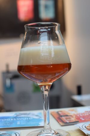 Hoppebräu Vogelwuid IPA - Polaris, Verkostung vom 12.02.2017