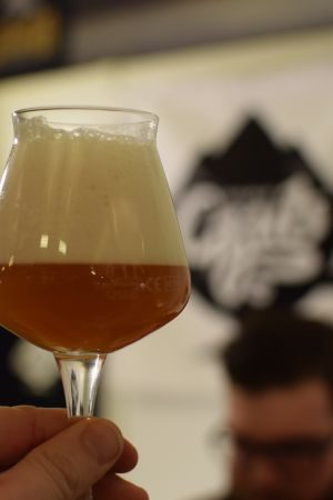 Gzub Brett Ale, Verkostung vom 10.02.2017