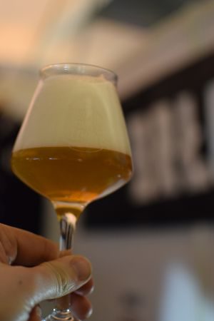 Brlo Pale Ale, Verkostung vom 10.02.2017