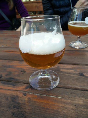 Labieratorium Orange Pale Ale, Verkostung vom 29.04.2017