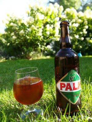 Palm Speciale Belge (Belgian Amber), Verkostung vom 03.08.2017