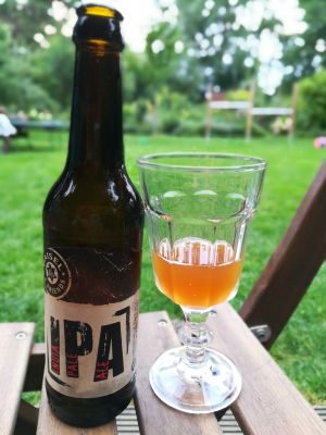 Maisel & Friends IPA, Verkostung vom 27.07.2017