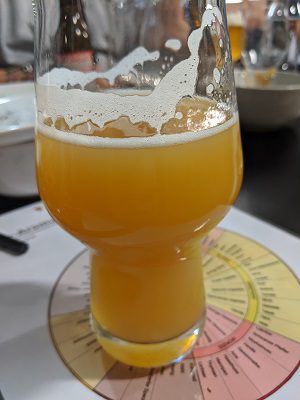 Cloudwater IPA (S•S19), Verkostung vom 14.02.2020