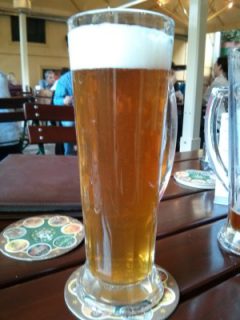 7Stern MaiBock