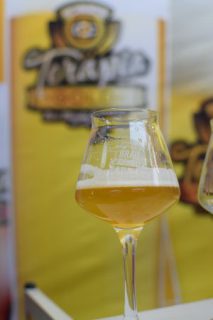 Terapia Gold Golden Ale