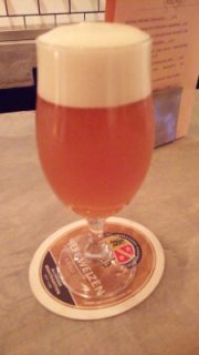 Garage Beer Contains Fruit