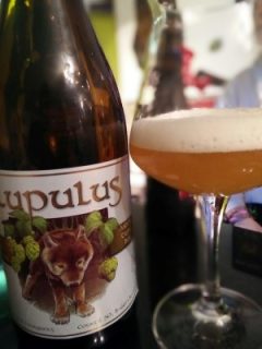 Lupulus Triple
