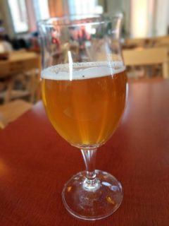 CC American Wheat Ale