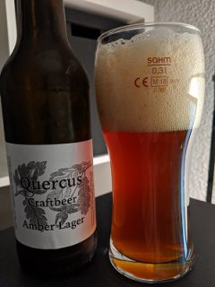 Quercus Amber Lager