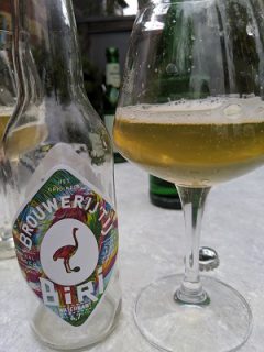 T ij Biri Tropical Lager
