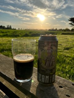 Steam Brew Stout
