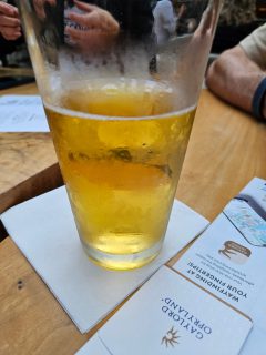 Nashville Lager